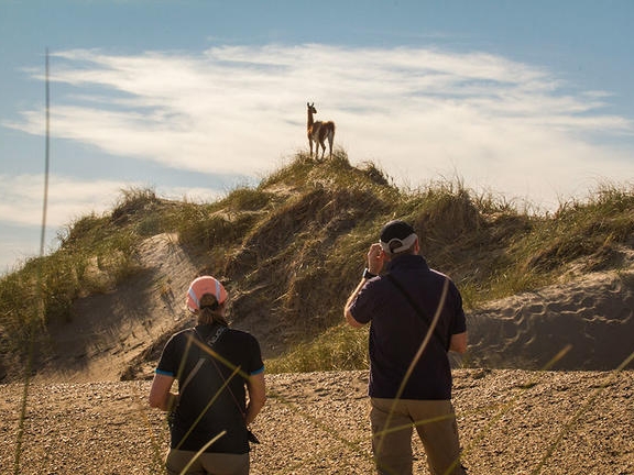 Hike to the Dunes