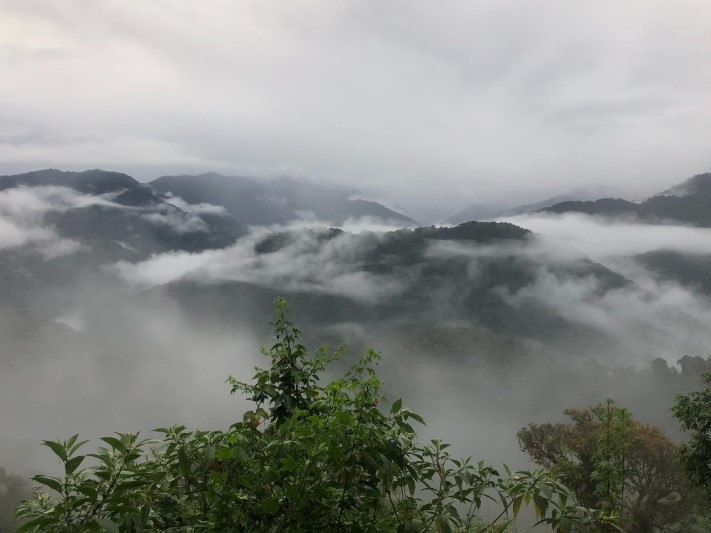 Guaycapi Birding Lodge