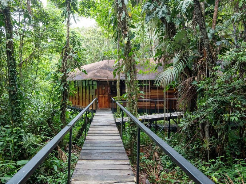 Sacha Lodge - Bungalow Aussenansicht
