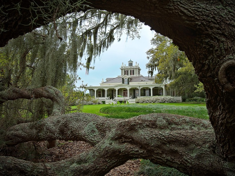 USA - Louisiana - Rip van Winkle Gardens