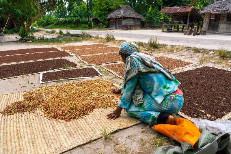 Spice Farm Zanzibar