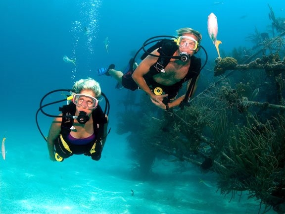 BARBADOS SCUBA DIVING