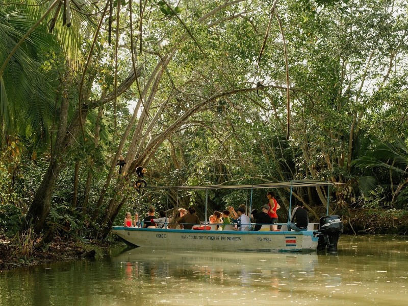 Mangrove Boat Tour Damas Island