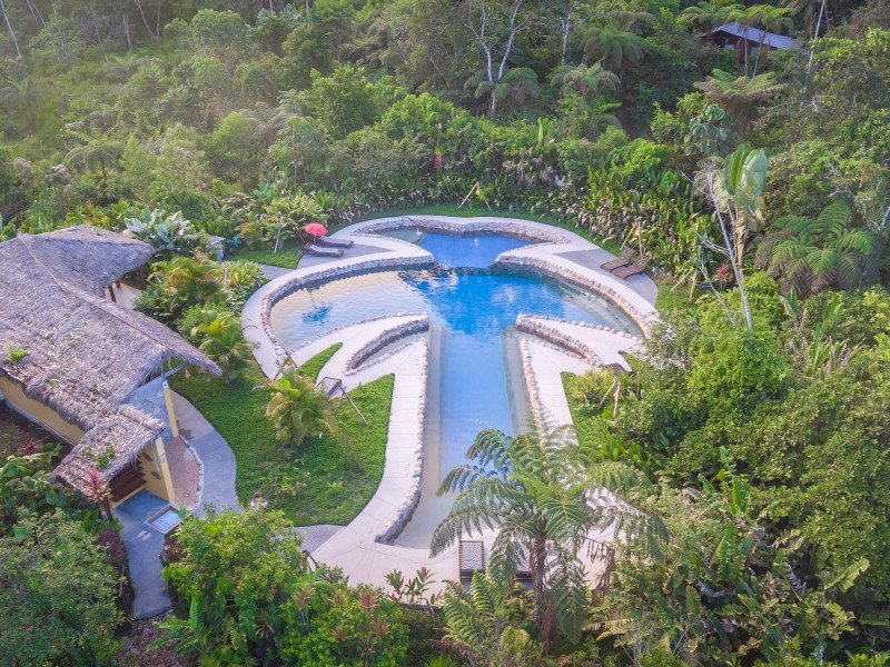  Pool in the shape of a palm tree