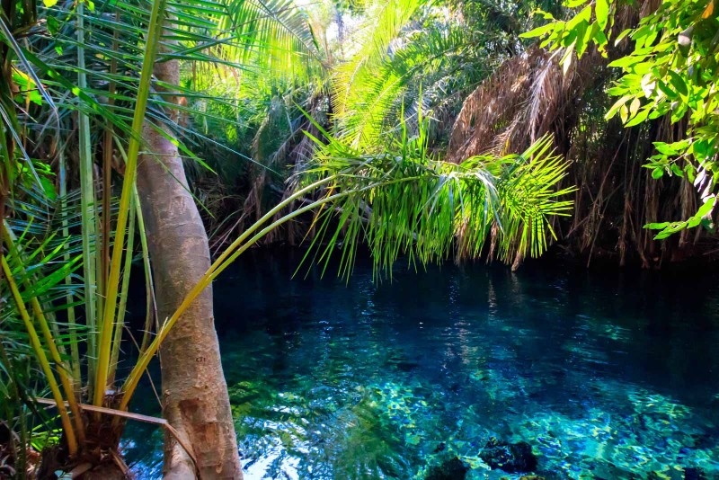 Kikuletwa Hot Springs near Arusha