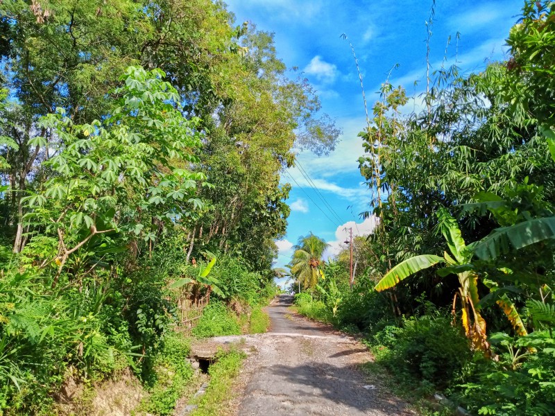 Biking at Mto Wa Mbu Village