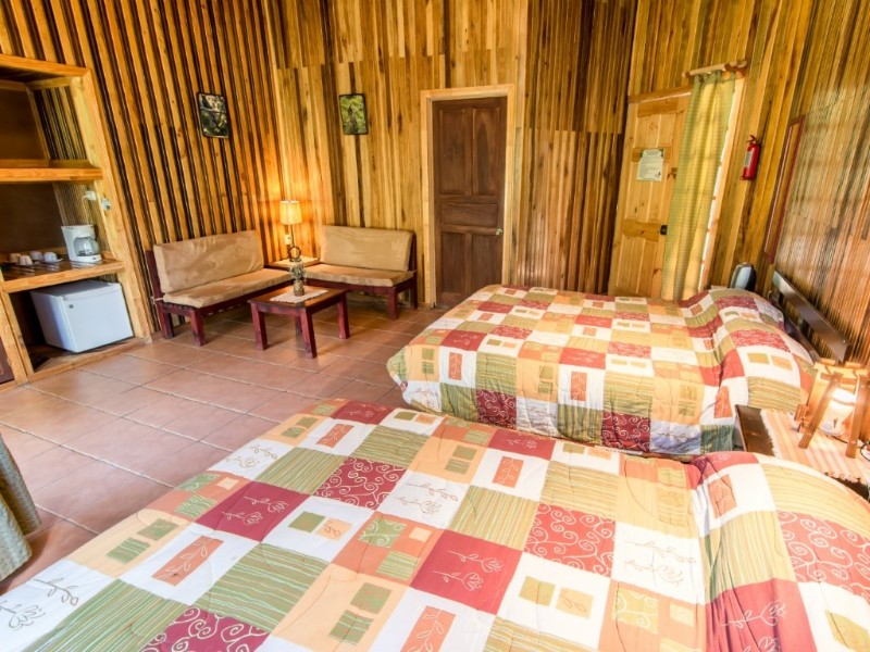 Sueños del Bosque - Standard