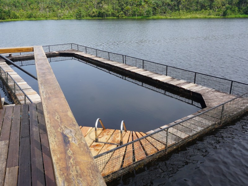 Sacha Lodge - Pool