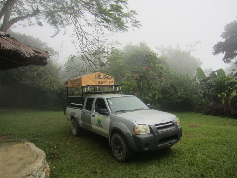 Pick up im Nebelwald