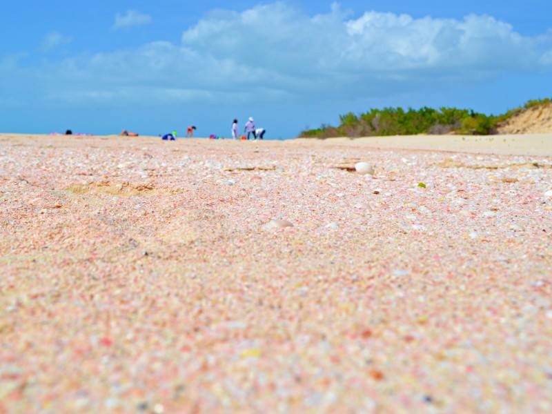 Pink Sand Beach Barbuda