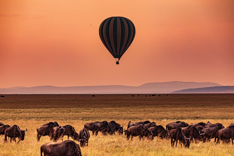 Hot Air Balloon Safari Serengeti