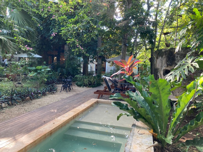 Verde Morada - Pool