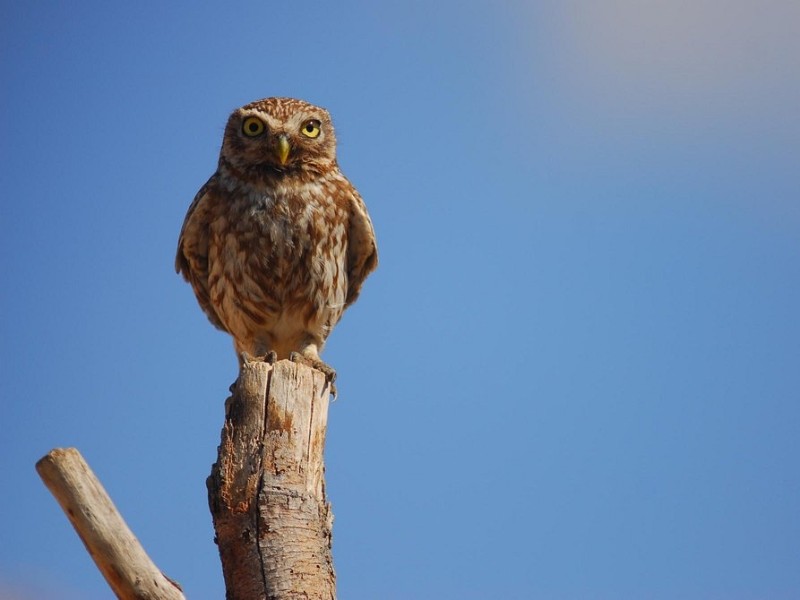 agadir national park