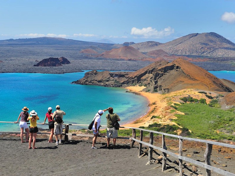 Tagestour Insel Seymour
