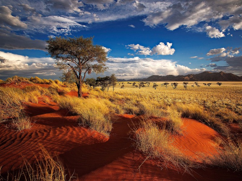 Auf Ökopfaden durch Namibia