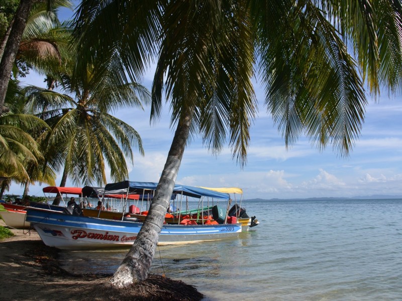 Seesterne Strand Boot