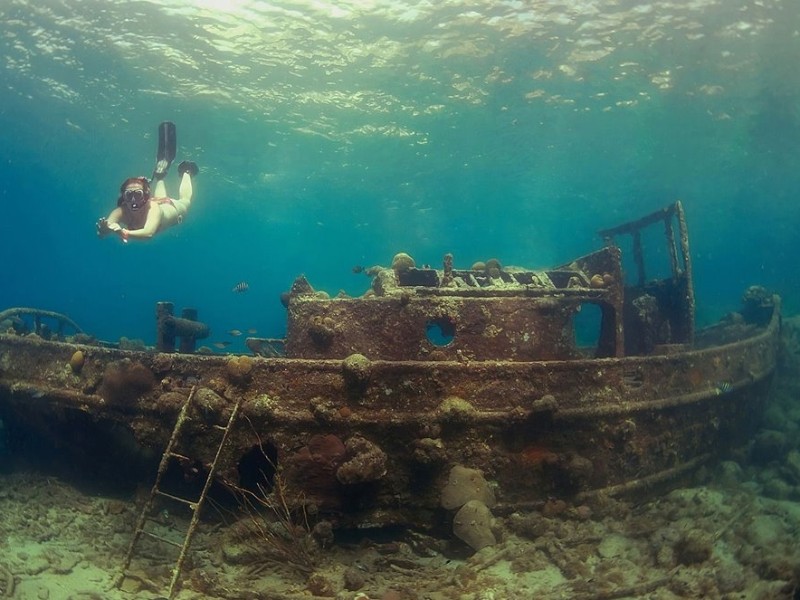 TUGBOAT AND TURTLE SNORKELLING