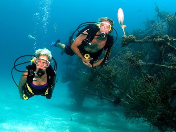 Scuba Diving Barbados
