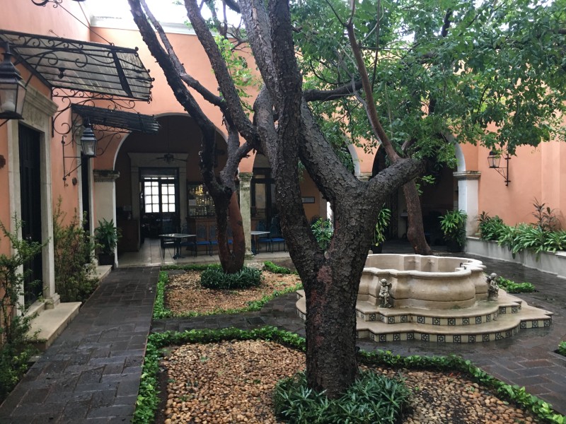 Mision Fray Diego - Garten