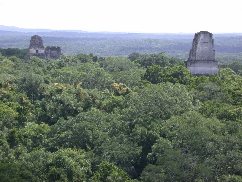 Tikal