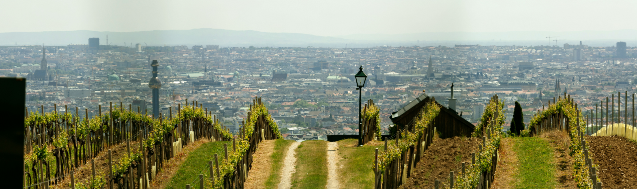 Vienna’s Nussberg Vineyards