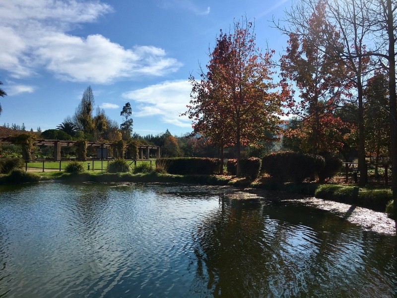 Matetic vineyards
