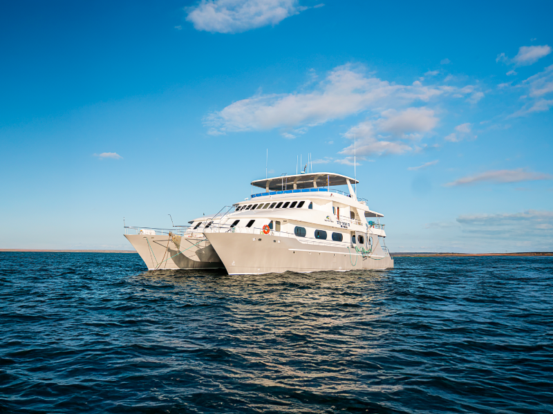 Tip Top II Exterior