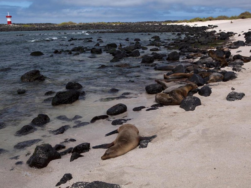 Playa Ochoa (photo source: Surtrek)