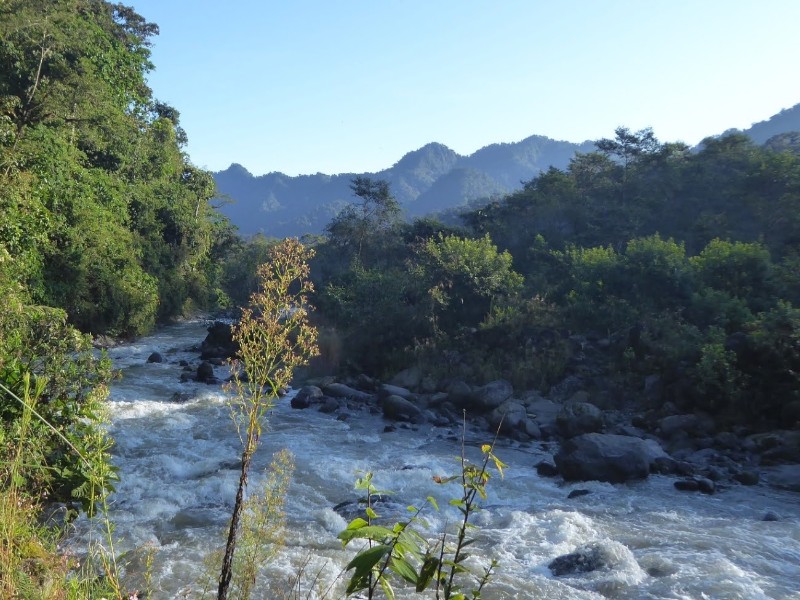 Bernebelwald am Fluss Rio Cinto