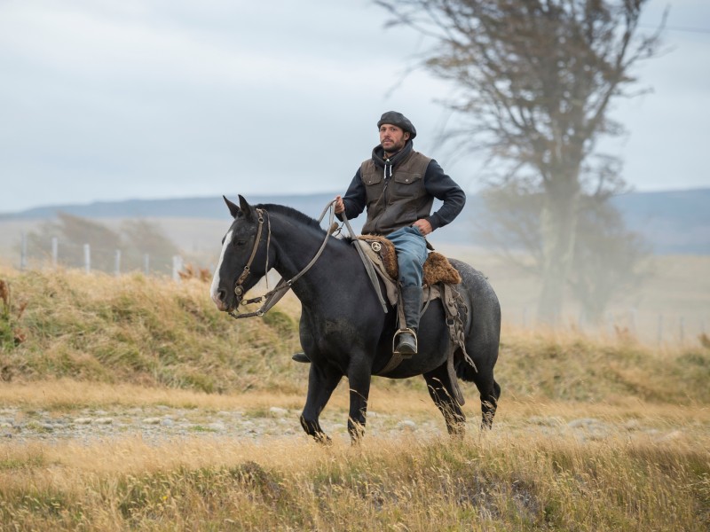 Torres del Paine - Gaucho