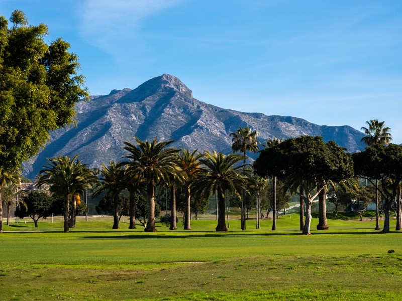 Los Naranjos © Golf Club