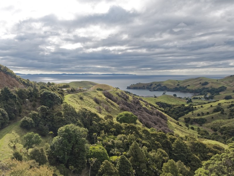 Coromandel in New Zealand