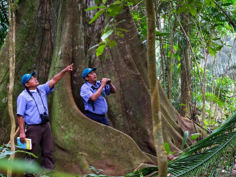 Bocawina - Mayflower Nationalpark