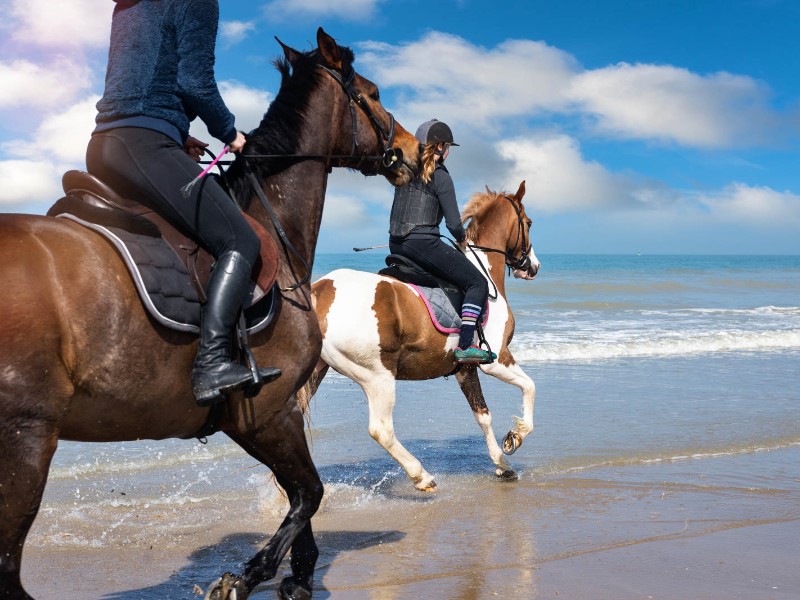 Horse Riding