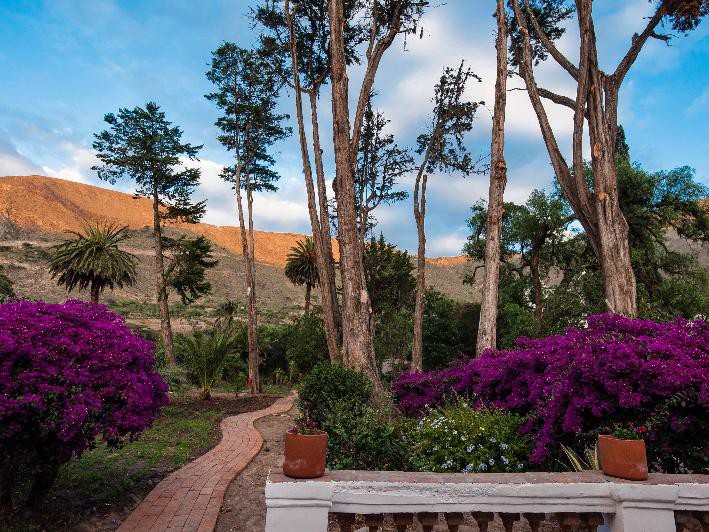 Garten mit Blick auf die Berge