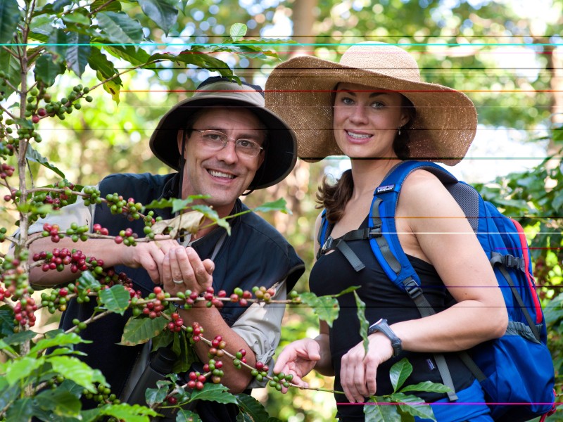 Finca Rosa Blanca Coffee Plantation