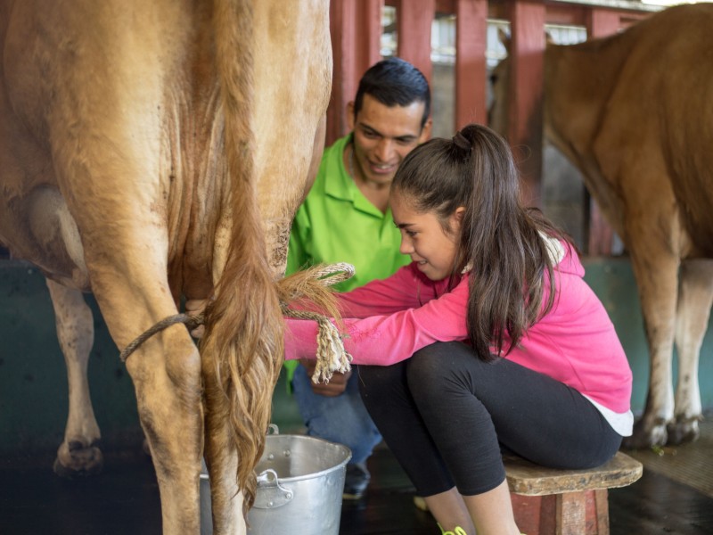 Casitas Tenorio - Farm Tour