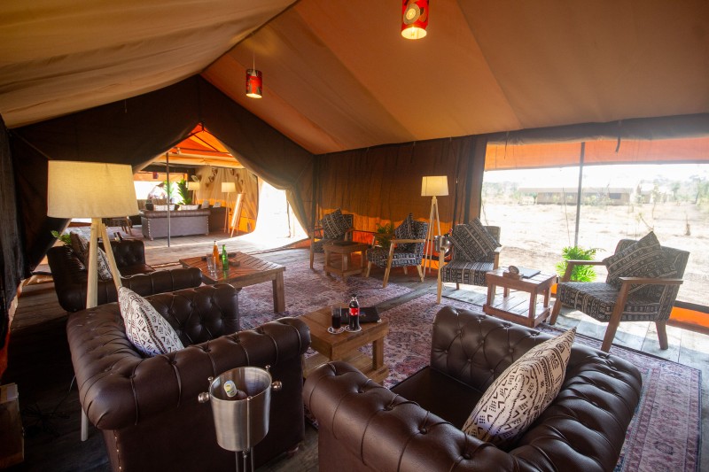 Africa Safari Serengeti  Kogatende