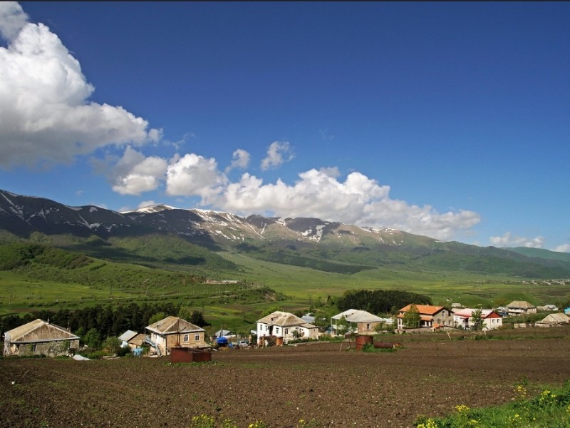 Fioletovo 