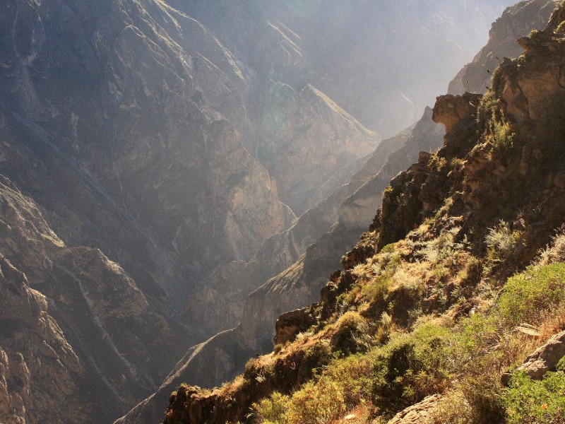 Peru - Colca Canyon