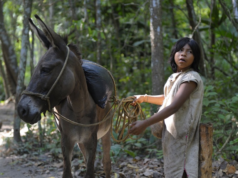 Santa Marta - Tayrona-Indianer