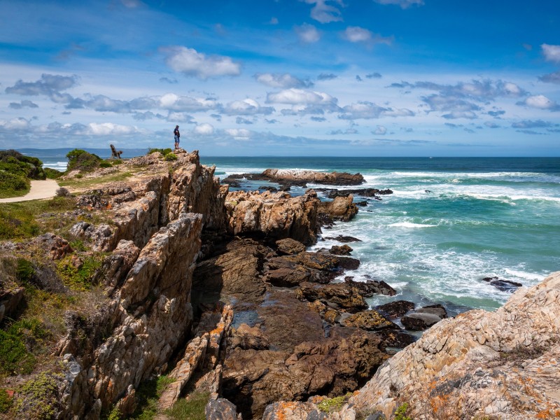 Südafrika_Westkap_Hermanus_Whale Coast_F