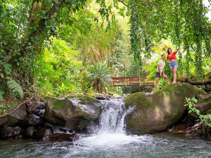 Chachagua Rainforest Hotel