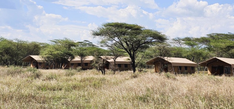 Africa Safari Kusini Luxury Glamping