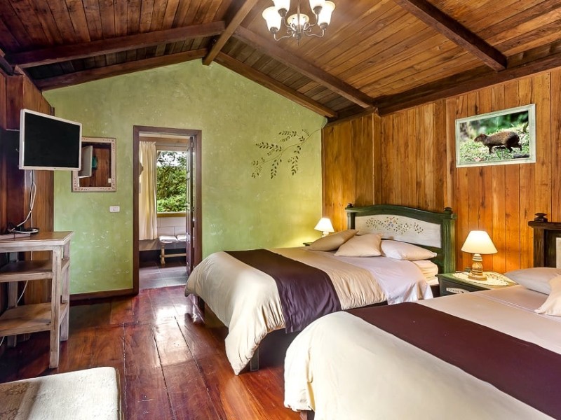 Cabanas de los helechos