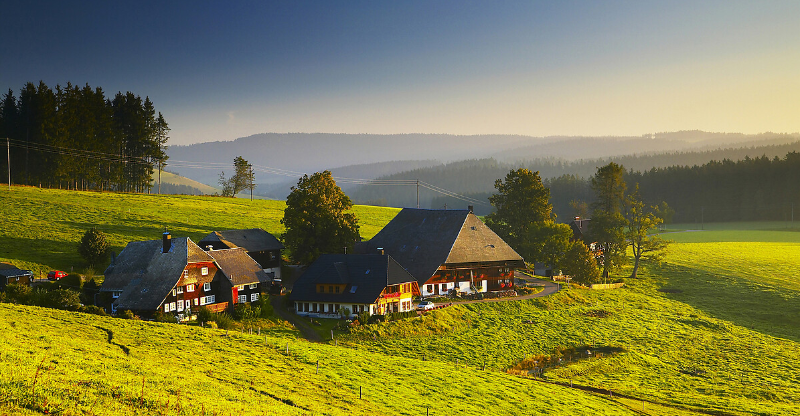 Black Forest Region
