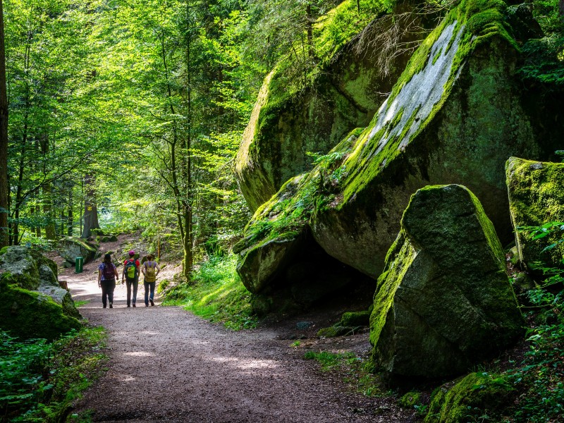 Germany - Schwartzwald