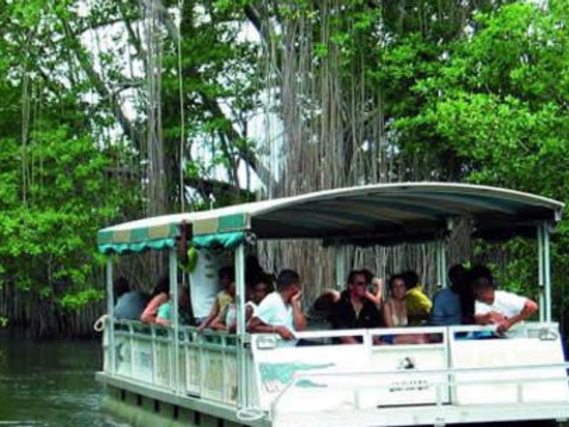 Black River Safari