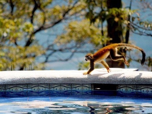 Parador Resort & Spa Pool