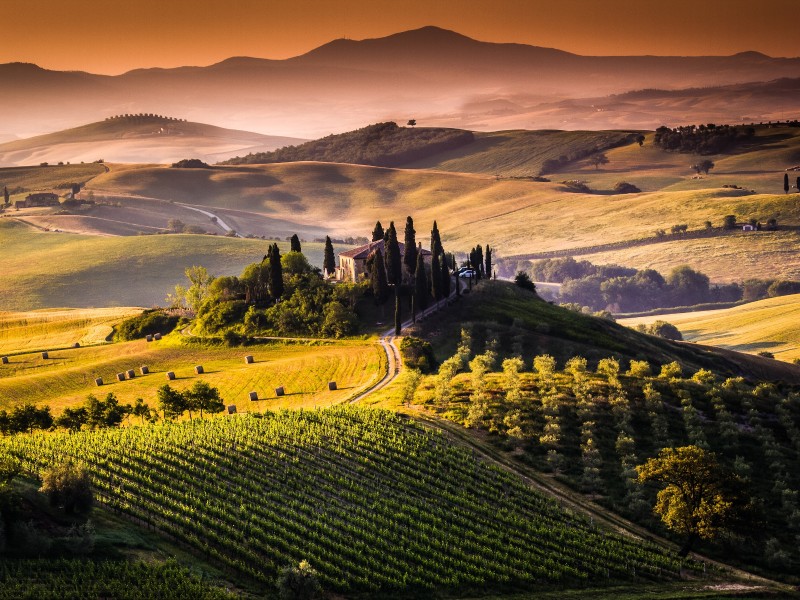 Tuscan landscape